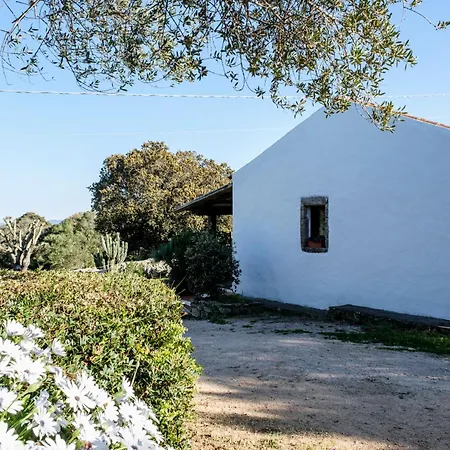 Stazzu Straetu Antico Stazzo Gallurese Con Vista Sul Golfo Di Willa *