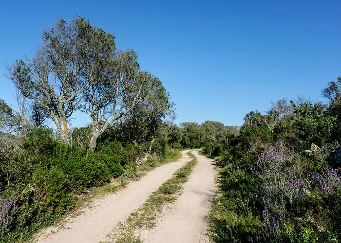 Willa Stazzu Straetu Antico Stazzo Gallurese Con Vista Sul Golfo Di Olbia
